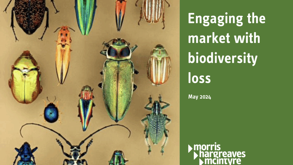 a graphic features the text engaging the market with biodiversity loss and several pinned preserved bugs