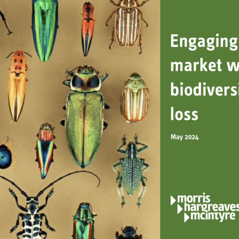 a graphic features the text engaging the market with biodiversity loss and several pinned preserved bugs