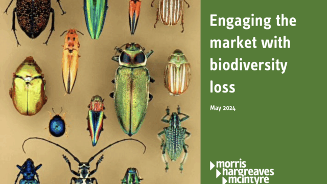 a graphic features the text engaging the market with biodiversity loss and several pinned preserved bugs