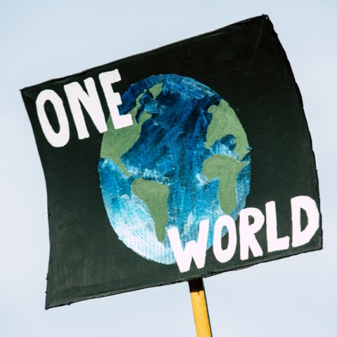 a cardboard sign plackard painted black with an earth in the centre and the text our world in white