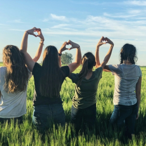 four young girls, all with long hair, facing away from the camera, stand in a field with their arms raised, making heart shapes with their hands